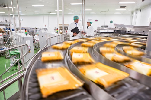packets moving on conveyor belt