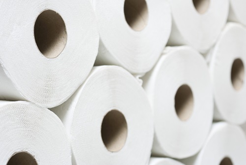 Sanitary paper products