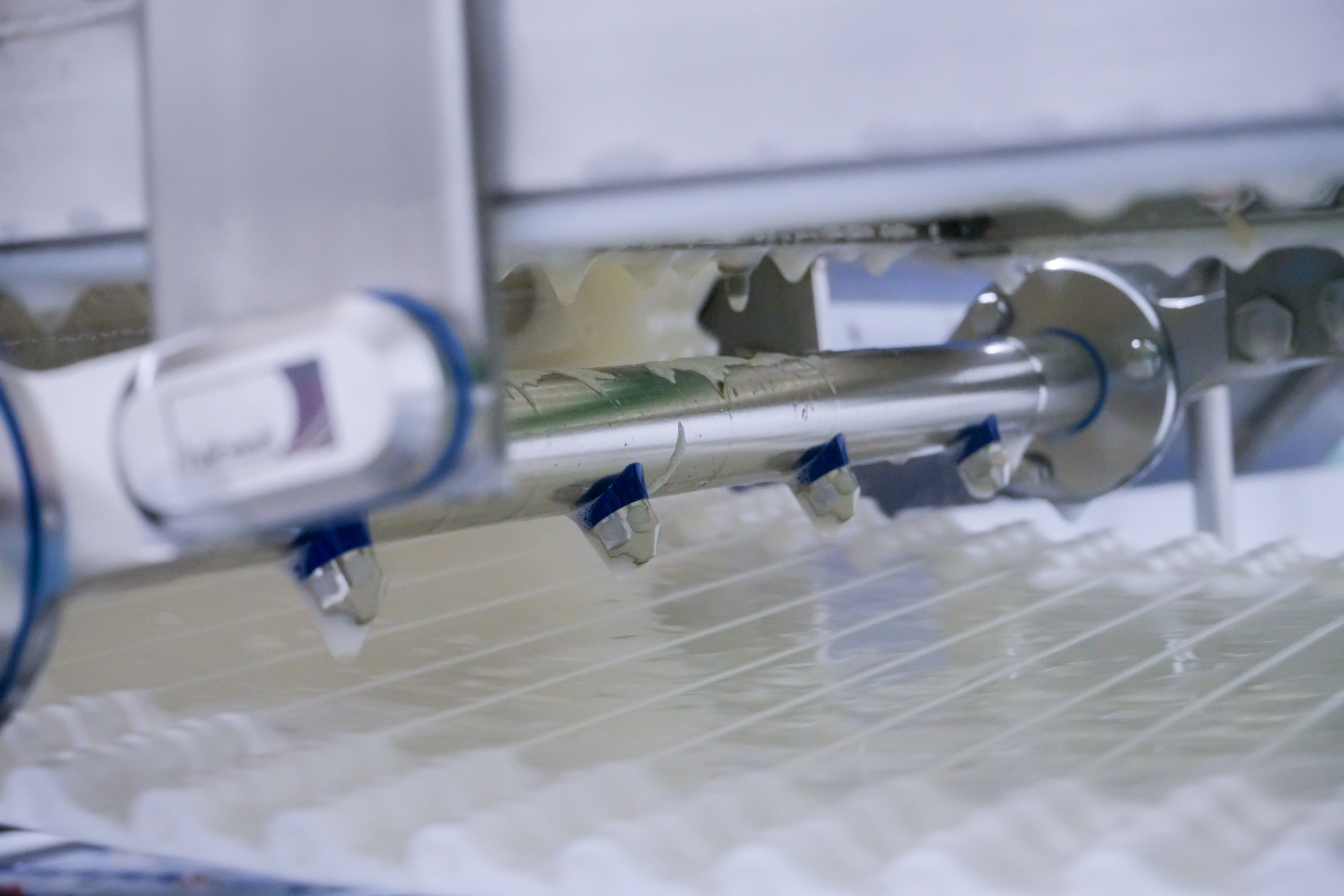 Polish poultry plant boosts food safety, saving time and water