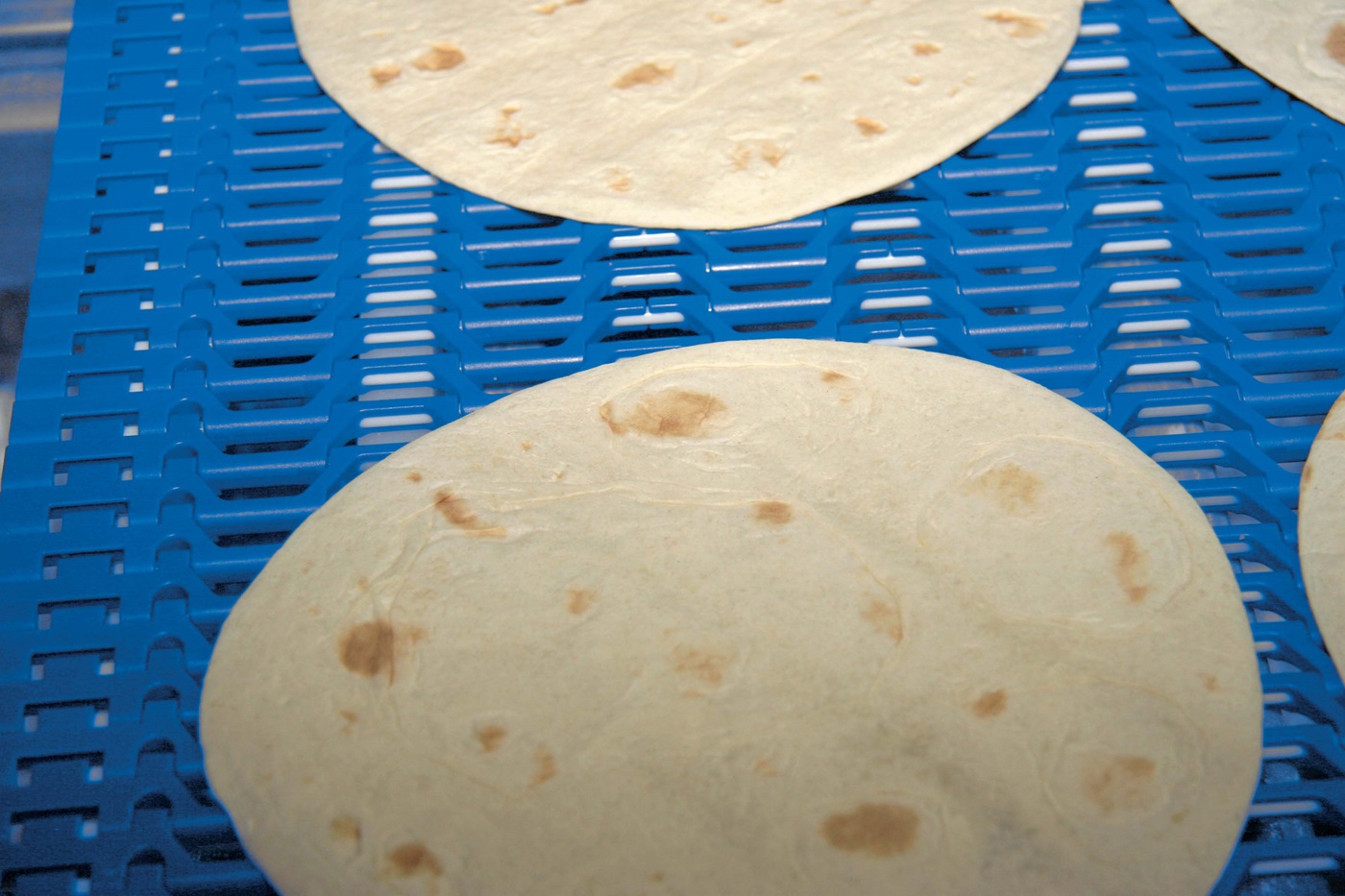 Tortillas on M1185 plastic modules