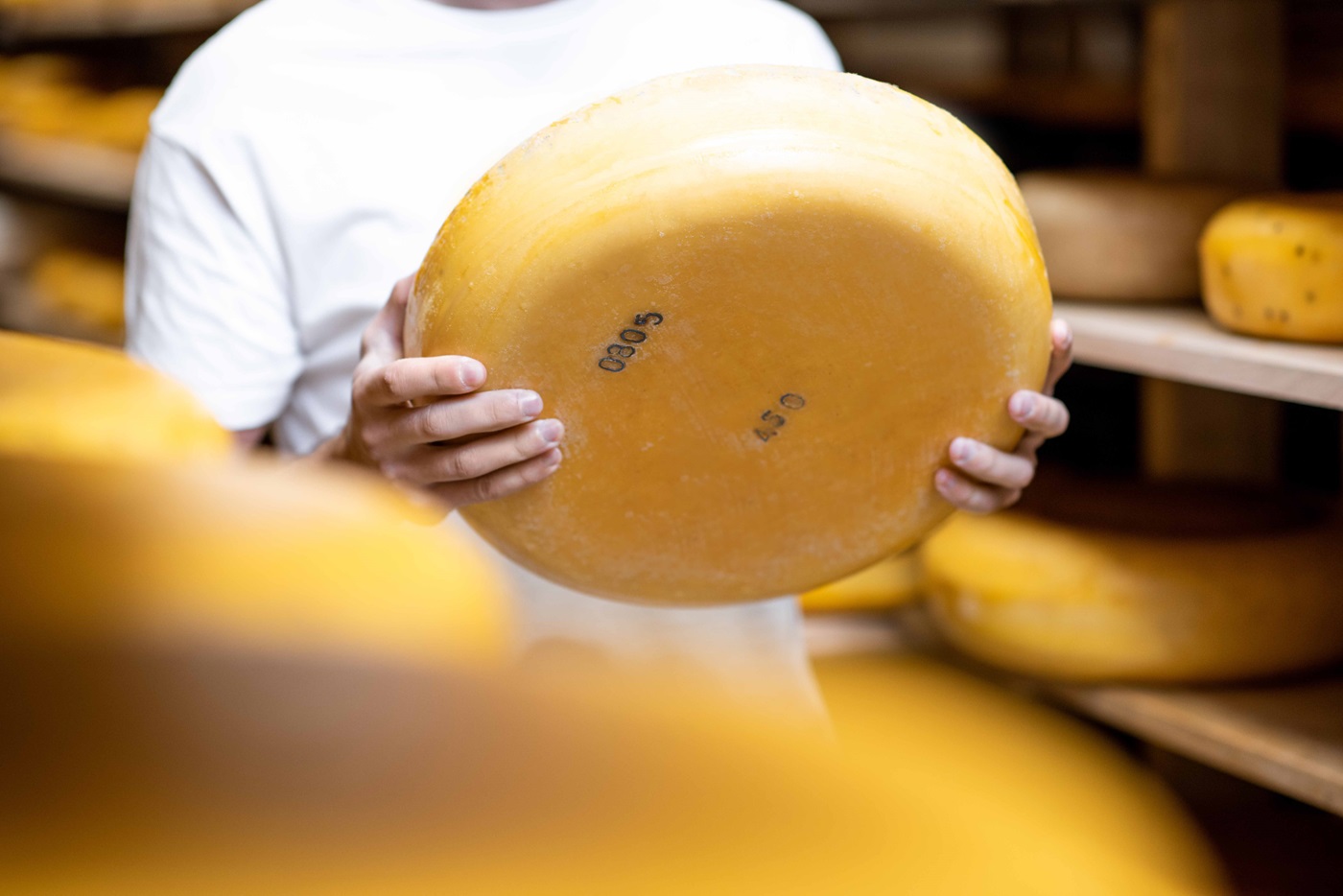 person carrying cheese wheel