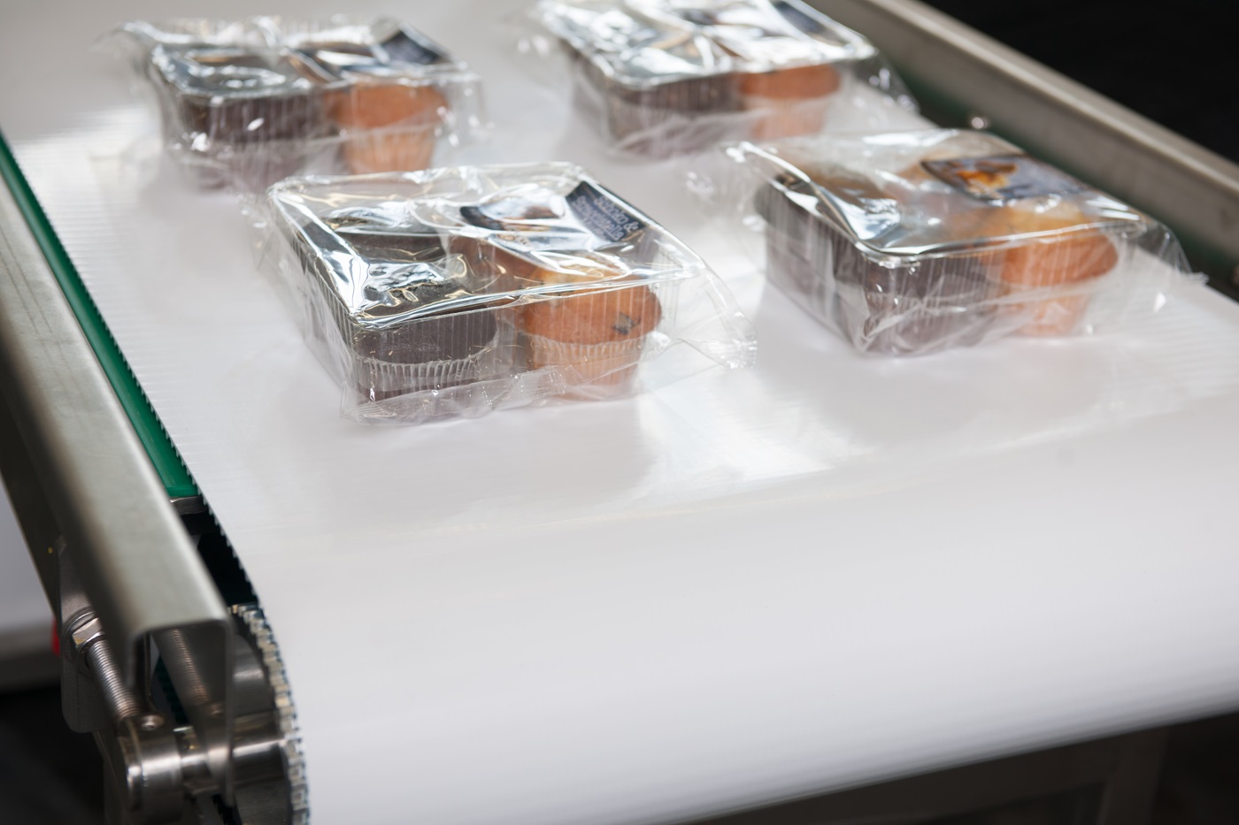 Muffins packed in transaprent boxes, on white conveyor belt